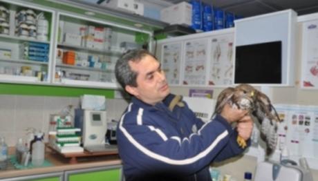 ONLARI AVLAMAK YERİNE FOTOĞRAFLAYIN!!!