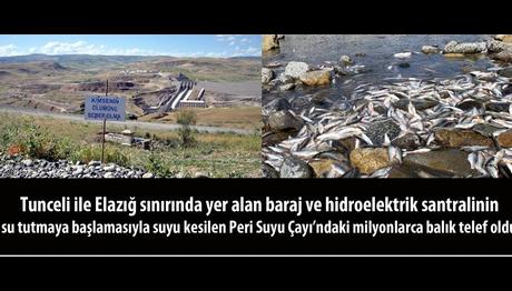 Milyonlarca Balık Telef Oldu!