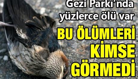 Bu Ölümleri Kimse Görmedi