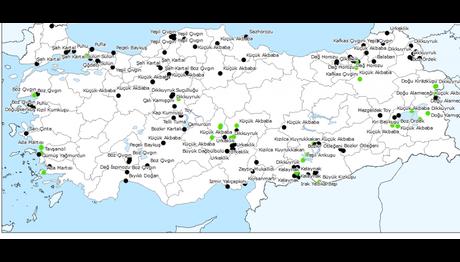 DENEYSEL - E-bird ve Kuşbank