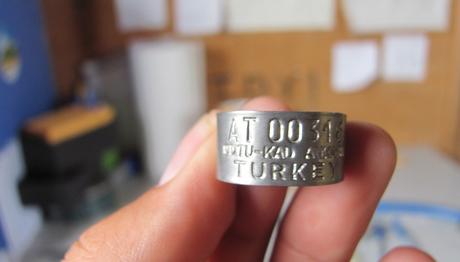 KUŞ HALKALAMA TEMEL EĞİTİM İLANI