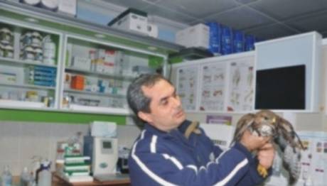 Örnek haber adı gelecek.