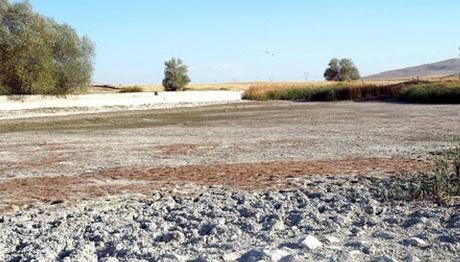 Kuruyan Kuş Cenneti İçin Yeni Umut Doğdu