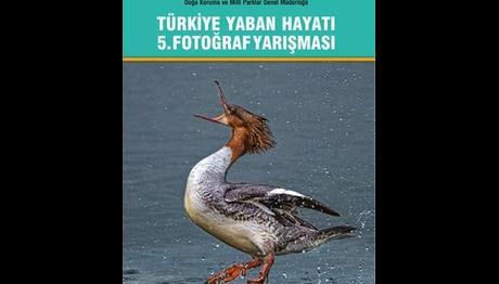 BÜYÜK YARIŞ BAŞLIYOR !