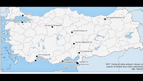 Kasım 2013-Kusbank Blog