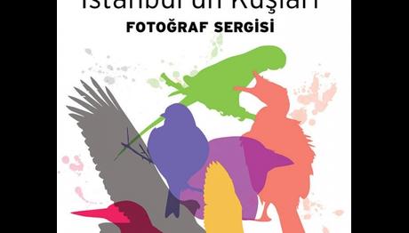İstanbul'un Kuşları-Sergi
