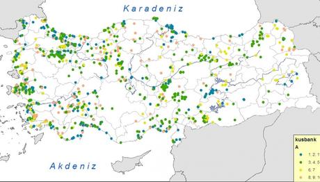 Örnek haber adı gelecek.