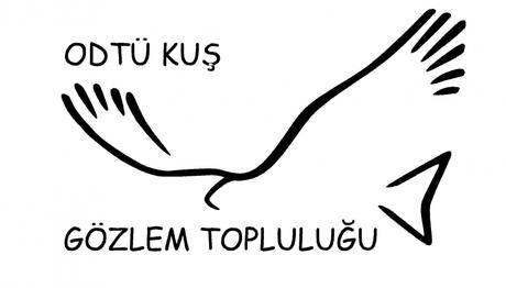 ODTÜ Kuş Gözlem Topluluğu Yeniden