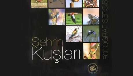 Şehrin Kuşları Sergisi