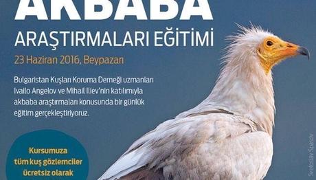 Akbaba Araştırmaları Eğitimi ve 17. Kuş Konferansı