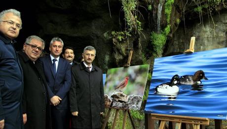 Müthiş Bir Haber