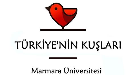 Marmara Üni Öğrencileri Kuşları Tanıyor Tanıtıyor