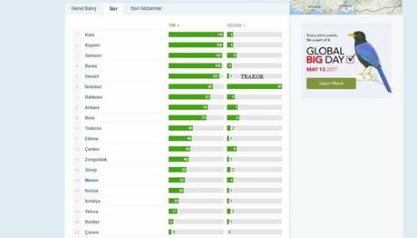 Global Big Day Sonuçları