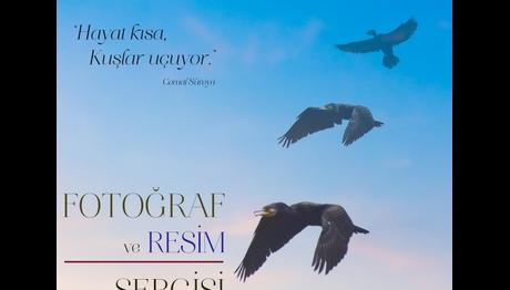 7 Foto 7 Resim