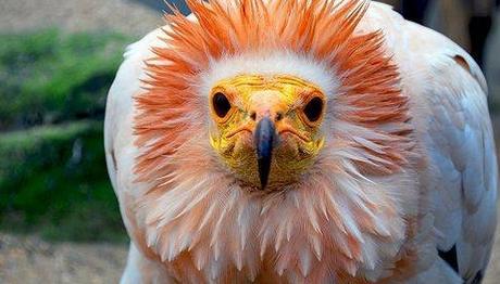 Örnek haber adı gelecek.