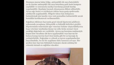 Örnek haber adı gelecek.