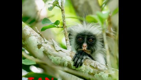 Örnek haber adı gelecek.