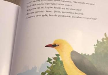 Örnek haber adı gelecek.