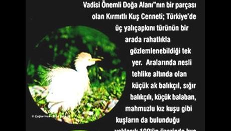 Örnek haber adı gelecek.