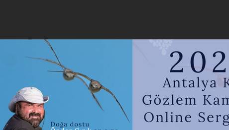 2023 Antalya Kuş Gözlem Kampı Online Sergi