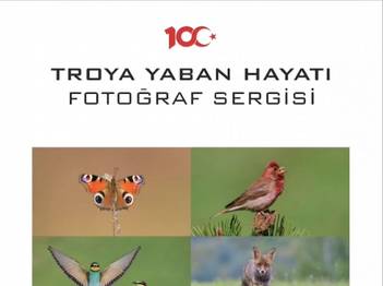 TroyaYaban Hayatı Sergisi