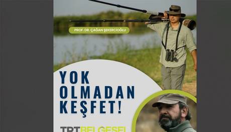 URKEKLİK