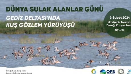 Gediz Deltası'nda Kuş Gözlem Yürüyüşü