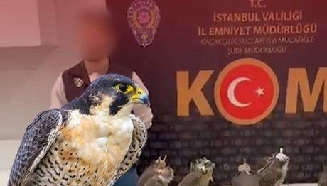 Havalimanında gökdoğan operasyonu!