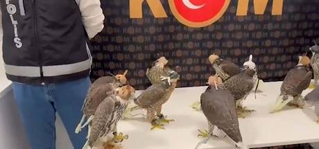 Örnek haber adı gelecek.