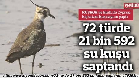 Kıbrıs Genelinde 72 Türde 21 Bin 592 Su Kuşu Saptandı