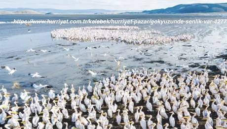 Gökyüzünde Şenlik Var