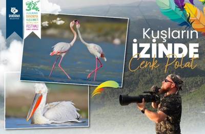 Kuşların İzinde / Cenk POLAT