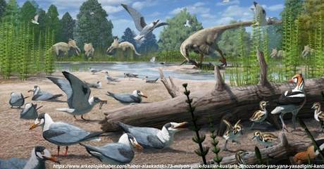 Alaska'daki 73 Milyon Yıllık fosiller, Kuşlarla Dinozorların Yan Yana Yaşadığını Kantıladı