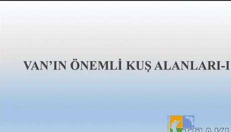 haber ve yayınlar