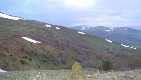 Posof-Ardahan/I