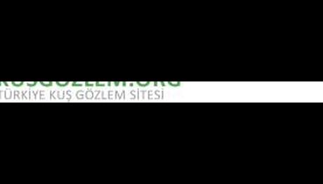 Örnek haber adı gelecek.