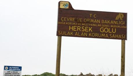 Hersek Lagünü Gözlem Notları