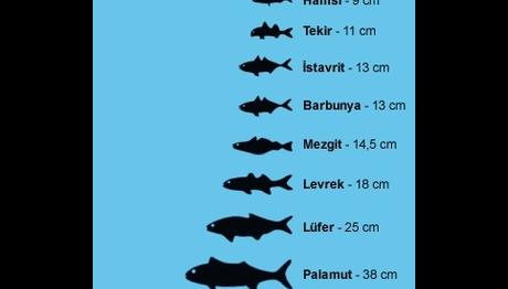 BALIKÇILIK SEZONU 15 NİSAN CUMA GÜNÜ KAPANIYOR