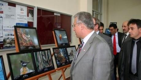 Erzurum Ovasının Kuşları Gümüşhane Üniversitesinde Sergileniyor