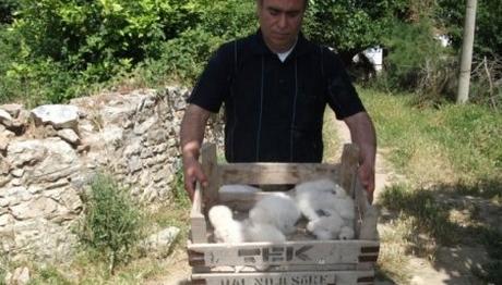 Örnek haber adı gelecek.