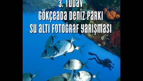 SU ALTI FOTOĞRAF YARIŞMASI