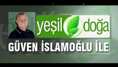 ÇAĞAN HOCA BUGÜN EKRANDA!