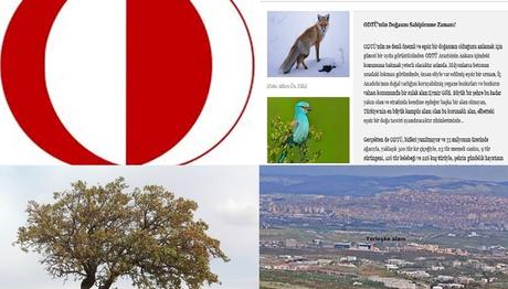 odtunund​ogasi.org Açıldı! 
