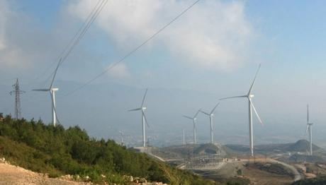 HATAY DA RÜZGAR TÜRBİNLERİ-KUŞ İLİŞKİSİ ARAŞTIRILDI