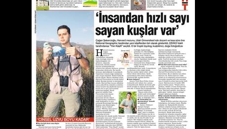 BASINDA KUŞLAR VE KUŞÇULAR