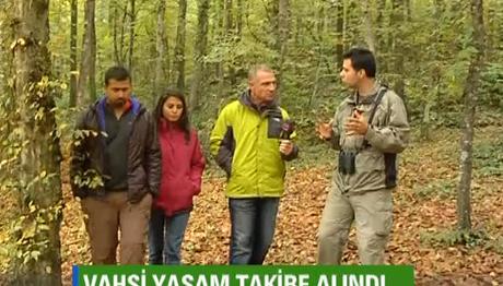CNN Türk Yeşil Doğa - KuzeyDoğa Derneği nin İlk Yaban Hayatı Koridoru ve Kurt Takip Projeleri