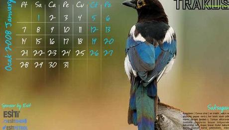 TAKVİMde Son Durum.