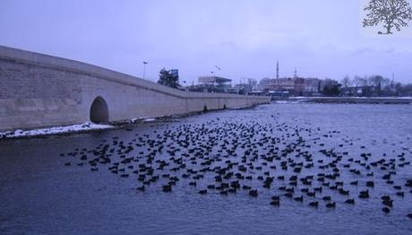 Örnek haber adı gelecek.