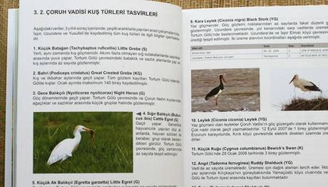 Örnek haber adı gelecek.