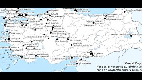 Kuşbank Geçmiş Yıllarda Kasım Kayıtları 